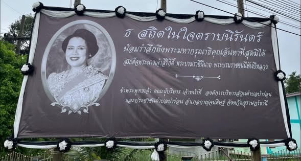 ๖ พฤศจิกายน ๒๕๖๘ 
นางอุไรวรรณ บรรดาศักดิ์ นายกองค์การบริหารส่วนตำบลป่าร่อน มอบหมายพนักงานส่วนตำบล และเจ้าหน้าที่ ร่วมผูกผ้าระบายขาวดำพร้อมติดตั้ง ป้ายไวนิลถวายความอาลัย แด่สมเด็จพระนางเจ้าสิริกิติ์ พระบรมราชินีนาถ พระบรมราชชนนีพันปีหลวง บริเวณจุดประชาชาสัมพันธ์หน้าองค์การบริหารส่วนตำบลป่าร่อน - หน้าโรงเรียนวัดวังไทร